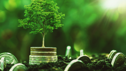 Top stratégies pour maximiser vos profits